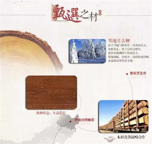 读诗 看柳 品生活 读诗 看柳 品生活
