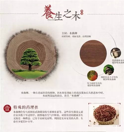 读诗 看柳 品生活 读诗 看柳 品生活