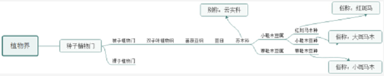 新品系列实木家具势不可挡！
