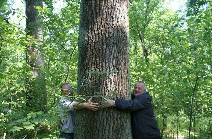 实木家具的特点是不是缺陷！完全没有色差的实木家具你敢要吗？