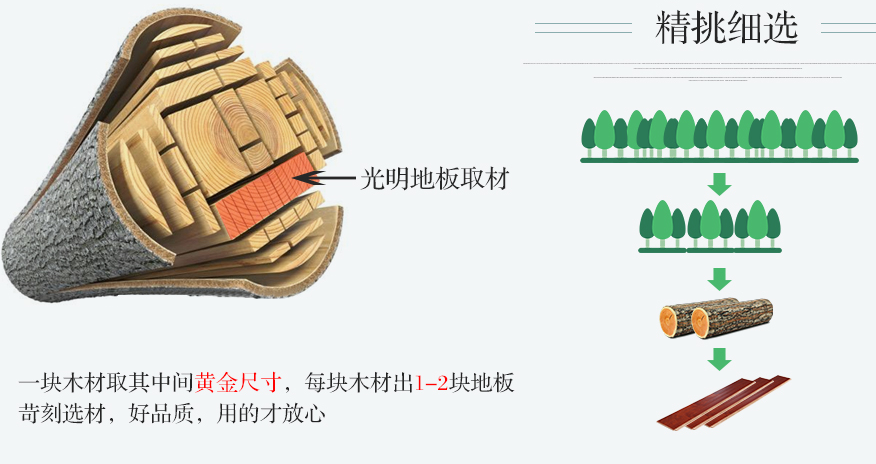 你了解实木地板吗？不了解实木地板怎么敢去买！